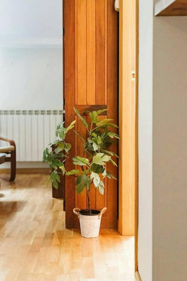 Apartamento CASA BEGOÑA - Wifi, sencillo y acogedor Sallent de Gállego Exterior foto